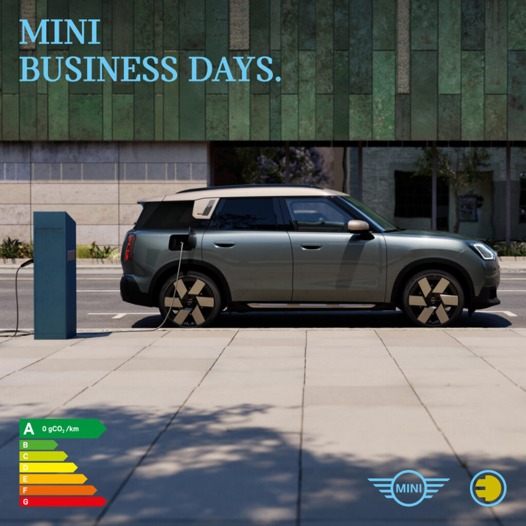 Business Days MINI