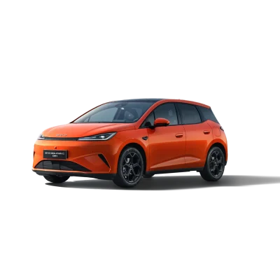 BYD Dolphin G